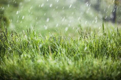 下雨的图片|下雨图片